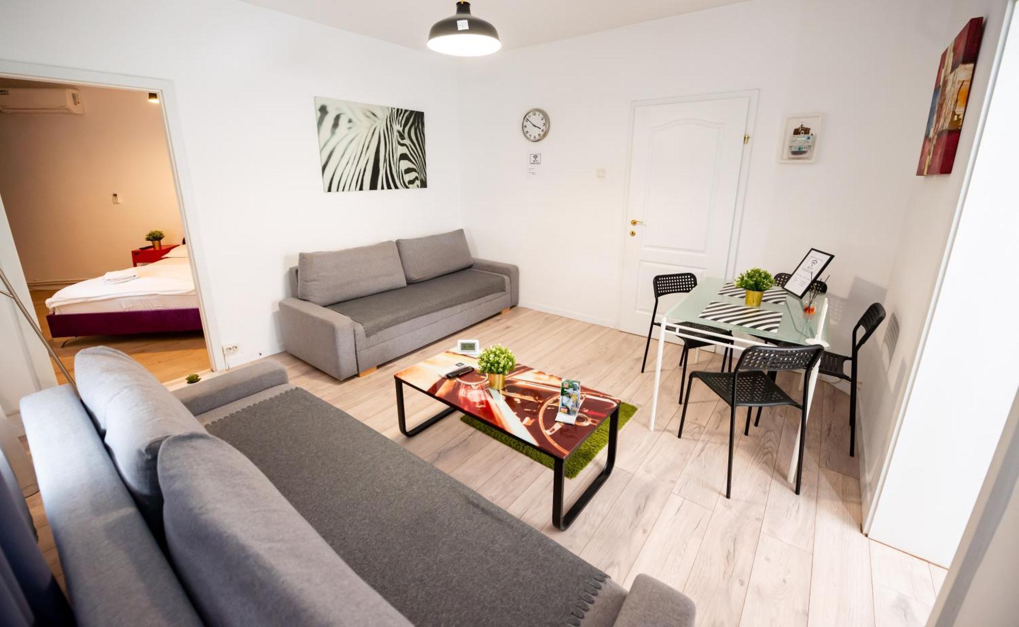 Apartament Ideal Center *