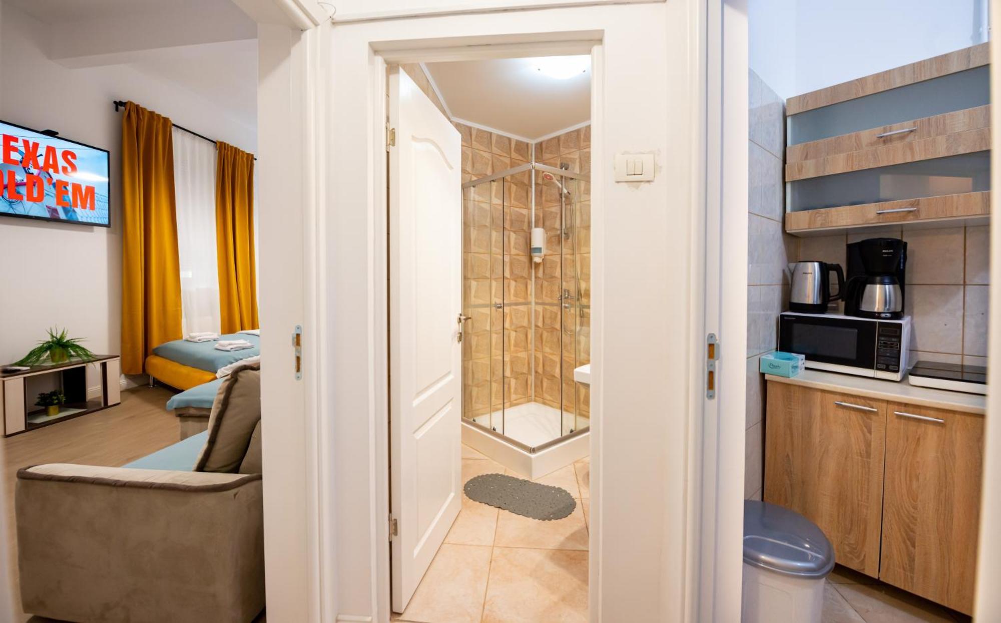 Apartament Ideal Center *