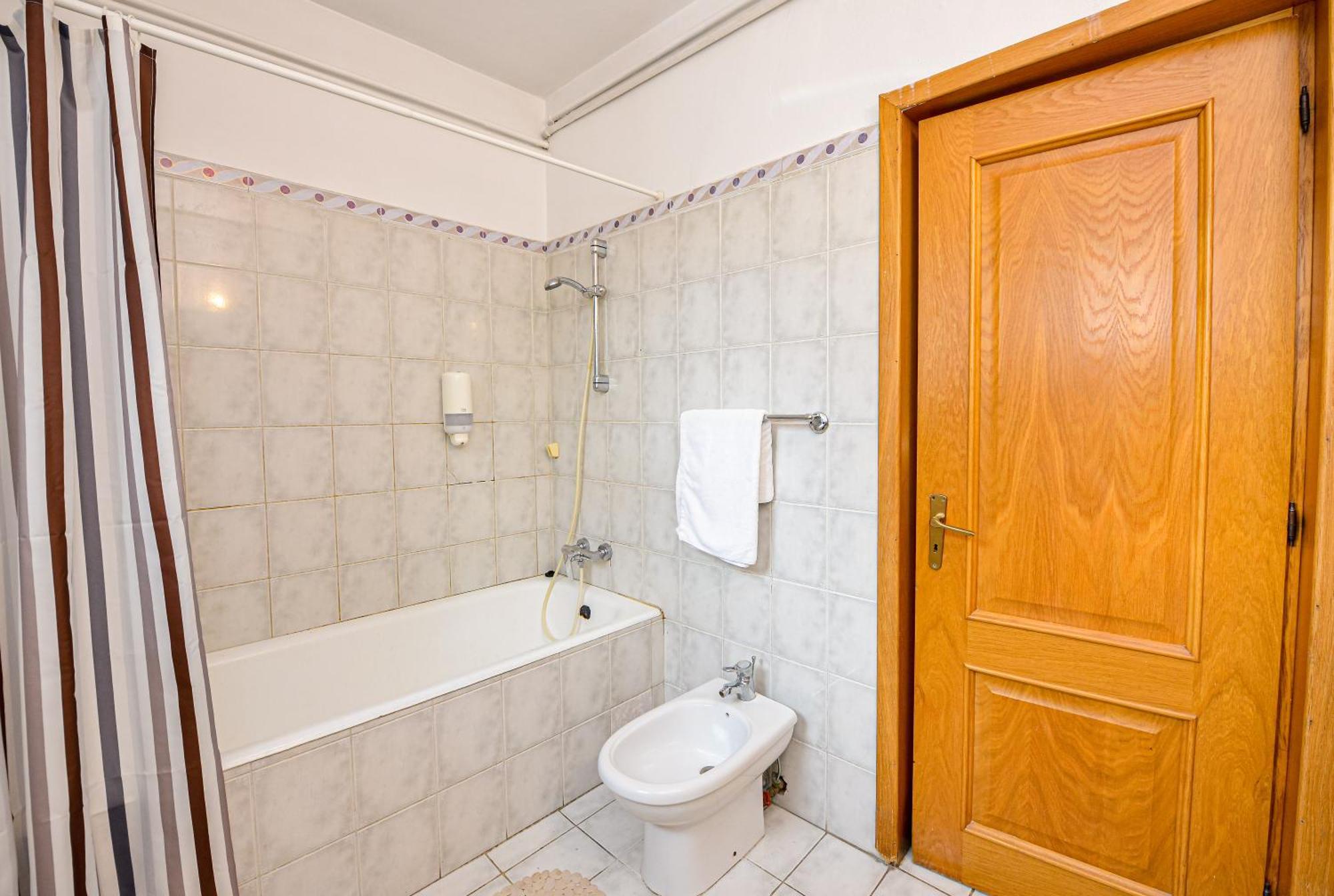 Apartament Ideal Center *